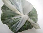 L'astuce pour emballer rapido une (grosse) salade dans ces foutus sachets en plastique du rayon légumes -- 22/10/17
