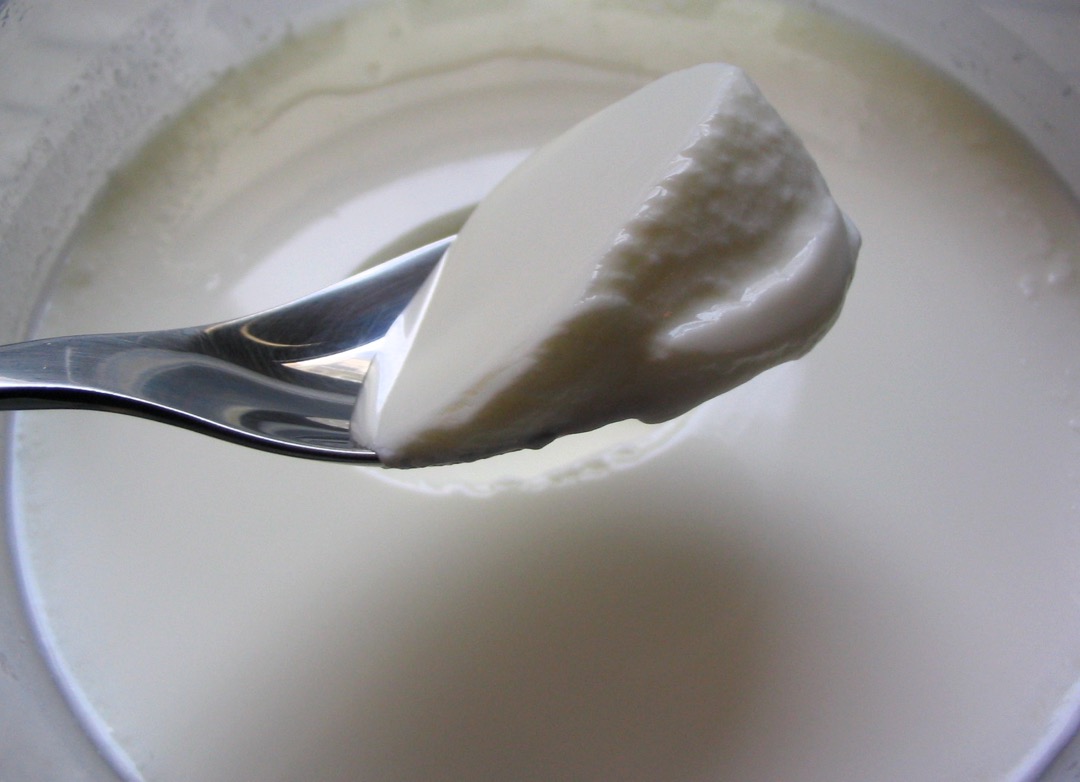 Tout savoir sur le ferment du yaourt maison